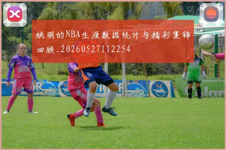 姚明的NBA生涯数据统计与精彩集锦回顾_20260527112254