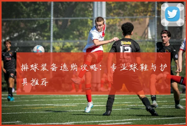 排球装备选购攻略:专业球鞋与护具推荐